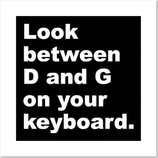 Look Between D and G on Your Keyboard Posters and Art